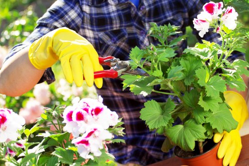 Garden tools and soil close-up indicating service branding