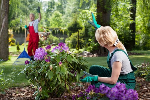 Crew conducting public liability safety check during garden maintenance