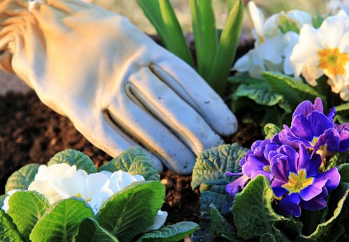 Recycled mulch being spread on a community allotment