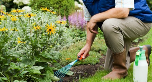 Essential gardening tools laid out neatly