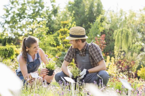 Proper storage of gardening chemicals and labelled containers